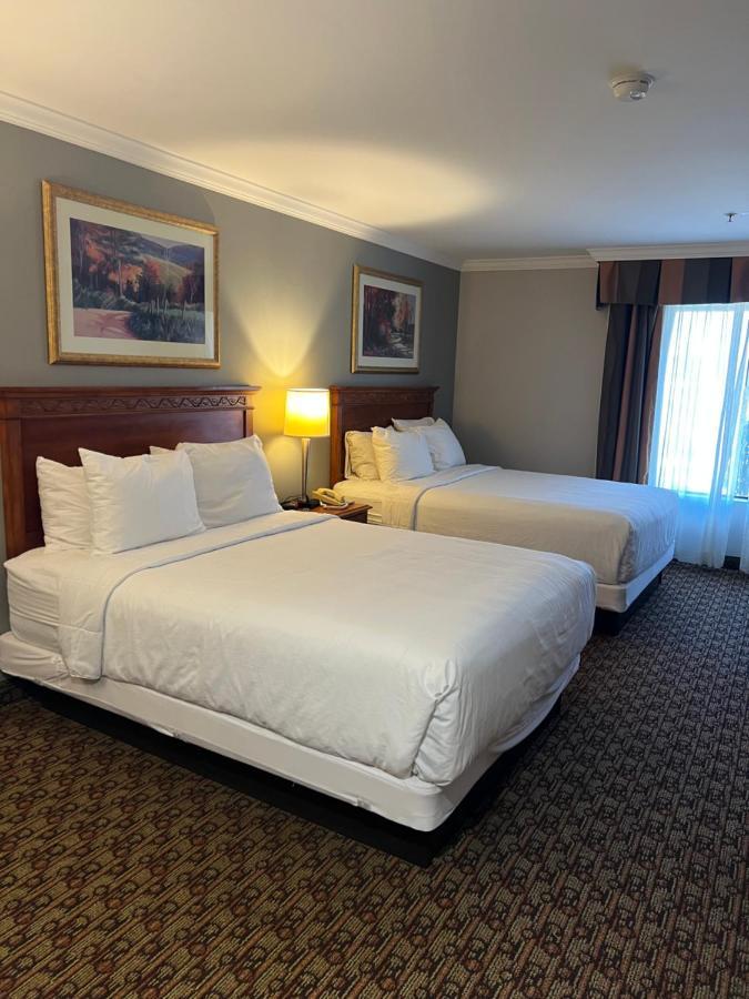 Hotel Xola Морено-Валли Экстерьер фото