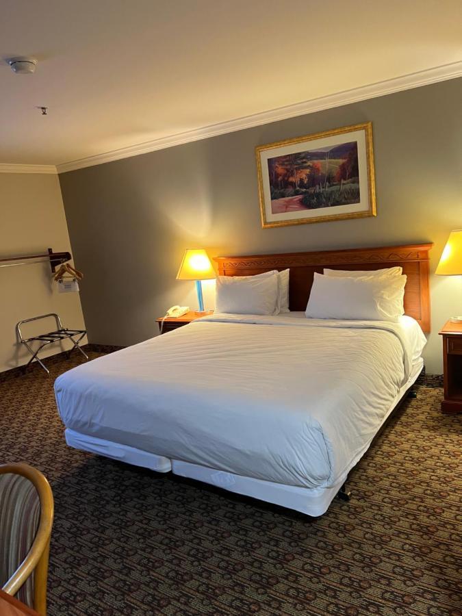 Hotel Xola Морено-Валли Экстерьер фото