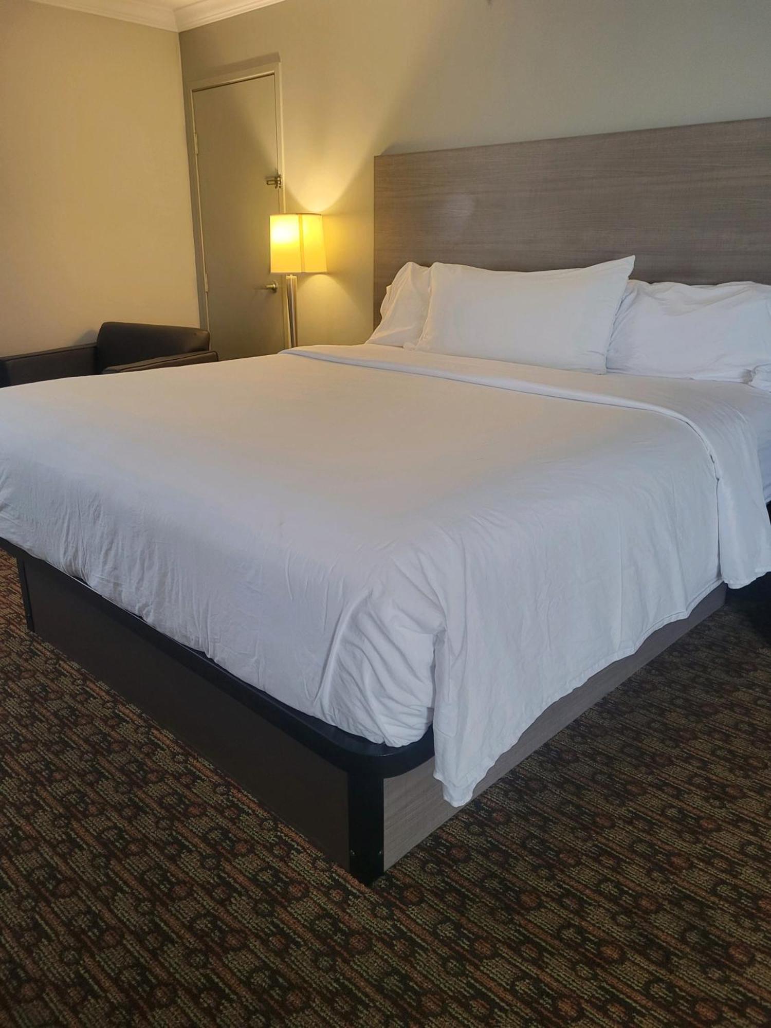 Hotel Xola Морено-Валли Экстерьер фото